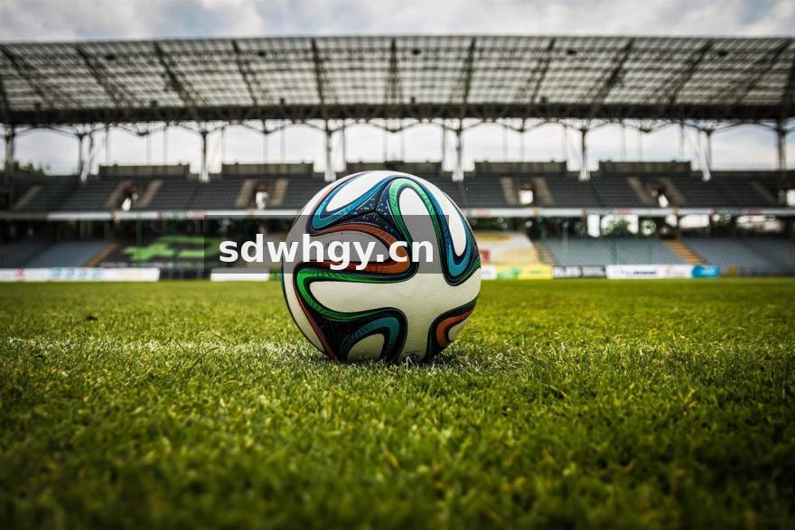 bwin 数据接口与内容合作服务界面示意